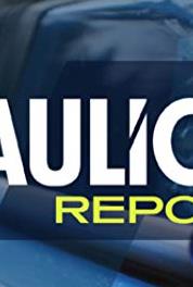 Der Blaulichtreport Selfie überführt Einbrecher (2015– ) watch online HD