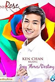 Destiny Rose Episode #1.120 (2015– ) watch online HD