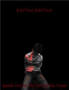 Rattus Rattus (2007) watch online HD