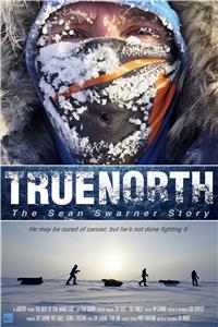 True North: The Sean Swarner Story (2017) watch online HD
