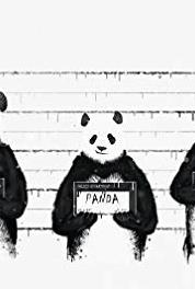 Bad Panda-Morning Radio Show CATASTROPHIC RADIO SHOW (2017– ) watch online HD