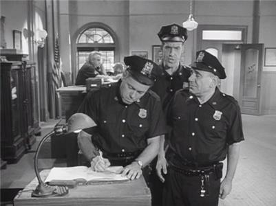 Car 54, Where Are You? Who's for Swordfish? (1961–1963) watch online HD