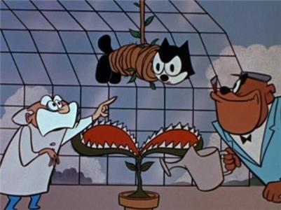Felix the Cat The Gold Fruit Tree (1958– ) watch online HD