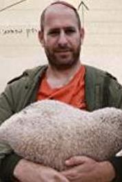HaMitnachel Felix Halfon (2013– ) watch online HD