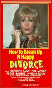 How to Break Up a Happy Divorce (1976) watch online HD