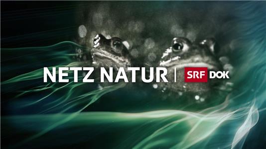 Netz Natur  watch online HD