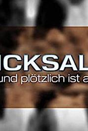 Schicksale - und plötzlich ist alles anders Ring des Lebens (2010– ) watch online HD