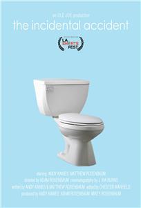 The Incidental Accident (2013) watch online HD