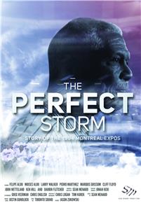 The Perfect Storm: Story on the 1994 Montreal Expos (2015) watch online HD