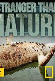 Wild Case Files Raining Fish (2011– ) watch online HD