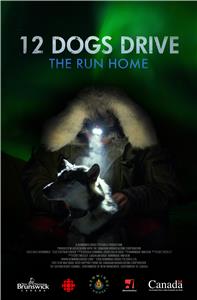12 Dogs Drive - The Run Home (2018) watch online HD