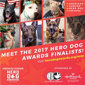 2017 Hero Dog Awards (2017) watch online HD