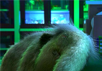 Baby Mammoth (2007) watch online HD