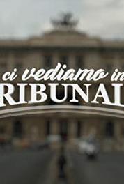 Ci Vediamo in Tribunale Un figlio conteso (2017– ) watch online HD