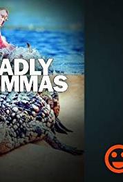 Deadly Dilemmas Silk or Steel (2013– ) watch online HD