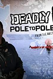 Deadly Pole to Pole Shark Special (2013– ) watch online HD