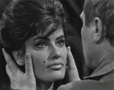 Der grüne Kakadu (1963) watch online HD