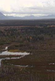 Expedition Safari Turkey, Boar & Stag (2007– ) watch online HD