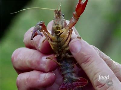 Good Eats Crustacean Nation 4: Crawfish (1999–2012) watch online HD