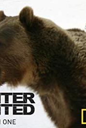 Hunter & Hunted Dragon King (2005– ) watch online HD