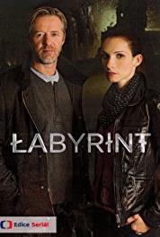 Labyrint Episode #1.3 (2015– ) watch online HD