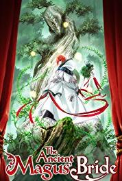 Mahô Tsukai no Yome Necessity Has No Law (2017– ) watch online HD