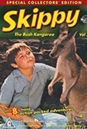 Skippy, das Känguruh Rockslide (1967– ) watch online HD