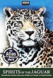 Spirits of the Jaguar Episode #1.3 (1996– ) watch online HD