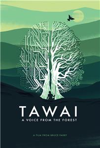 Tawai: A Voice from the Forest (2017) watch online HD