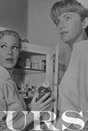 The Nurses Episode #1.55 (1965–1967) watch online HD