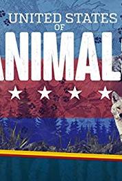United States of Animals Wolves of Wall Street (2016– ) watch online HD