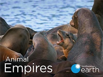 Animal Empire  watch online HD