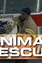 Animal Rescue with Alex Paen Episode dated 30 November 2015 (2007– ) watch online HD