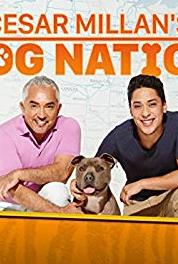 Cesar auf Tour For the Love of Dogs (2017– ) watch online HD