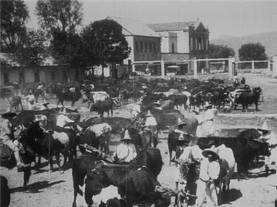 Lassage des boeufs pour le labour (1896) watch online HD