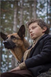 SHEPHERD: The Story of a Jewish Dog (2019) watch online HD