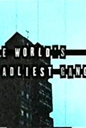 The World's Deadliest Gangs The Gangster Disciples (2004– ) watch online HD