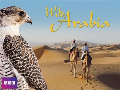 Wild Arabia  watch online HD