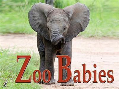 Zoobabies Sumatran tiger cubs (2010– ) watch online HD