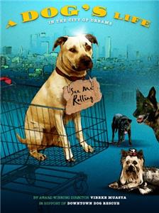 A Dog's Life (2013) watch online HD