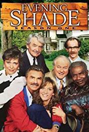 Evening Shade It's a Mad, Mad, Mad Wood (1990–1994) watch online HD