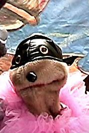 Moodoo Moments Pirate Tales (2009– ) watch online HD