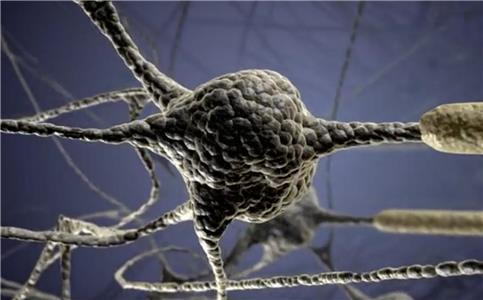 Neurogen Research Foundation (2017) watch online HD