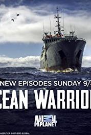 Ocean Warriors Chasing the Thunder (2016– ) watch online HD