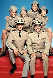 Operation Petticoat Grey Is Beautiful (1977–1979) watch online HD