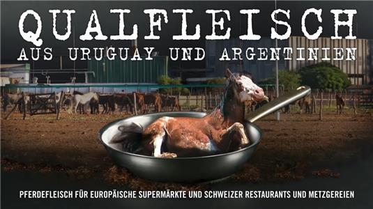 Qualfleisch aus Uruguay und Argentinien (2017) watch online HD