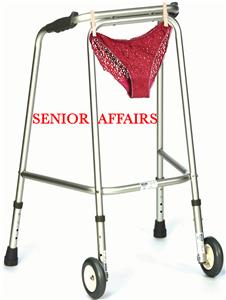 Senior Affairs (2017) watch online HD