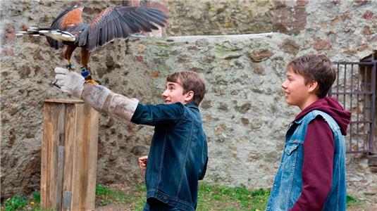 Tiere bis unters Dach Adleraugen (2010– ) watch online HD