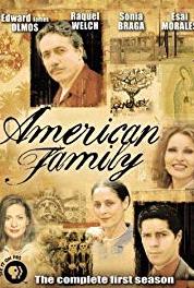 American Family Shadows (2002–2004) watch online HD