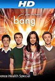 Bang Goes the Theory A Wing and a Prayer (2009– ) watch online HD